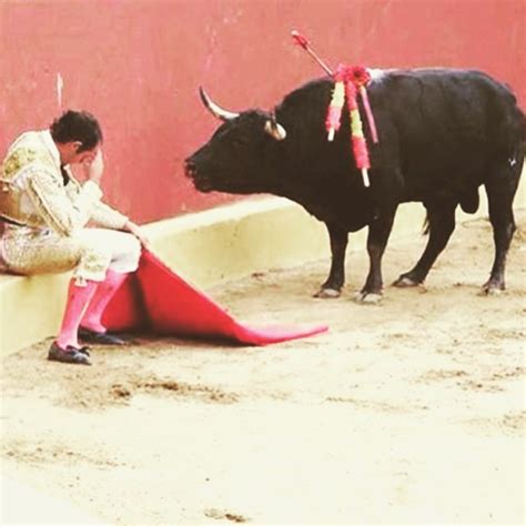 “repentance” this famous photo depicts the end of the career of matador alvaro munero in the