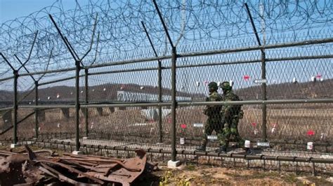 Il Soldato Fuggito Dalla Corea Del Nord Ha L Intestino Pieno Di Vermi Uno Specchio Delle