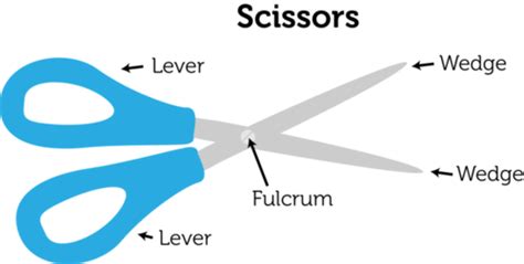A Pair Of Scissors Is A Compound Machine Consisting Of Levers And Wedges