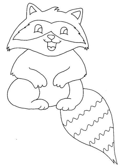 Great science cut and paste activity for kindergarten and preschool. Raccoon Animals Coloring Pages & Coloring Book