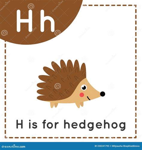 Learning English Alphabet For Kids Letter H Cute Cartoon Hedgehog