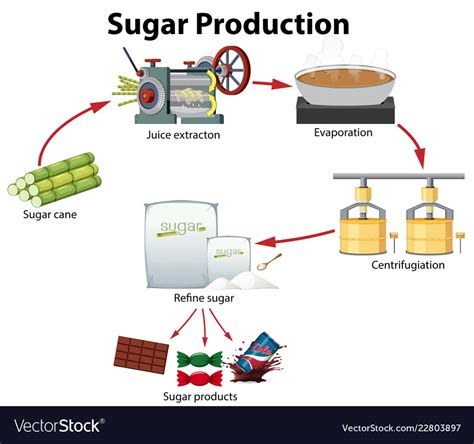 Sugar Production Process Flow Diagram