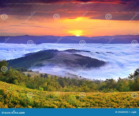 Misty Sunrise In The Mountains In Summer Stock Image Image Of Fresh