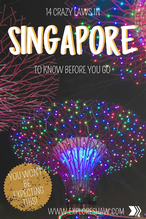 Singapore Rules And Regulations - Blajewka