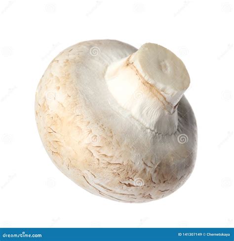 Fresh Champignon Mushroom Isolated On White Stock Image Image Of