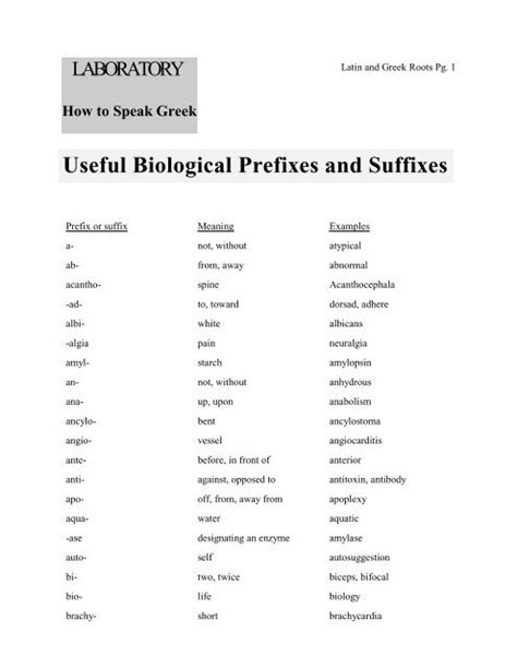 Useful Biological Prefixes And Suffixes