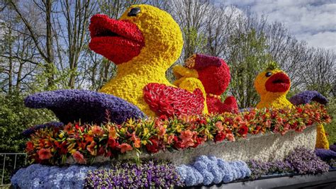 Flower Parade Route And Directions Tulip Festival Amsterdam