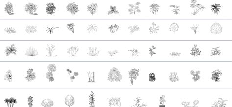 Trees and plants, library of dwg models, cad files, free download. 3dShopFree - 3D Models