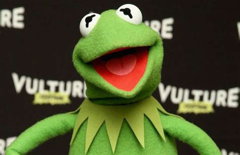 13 Best Evil Kermit The Frog Memes Photos Houston Chronicle