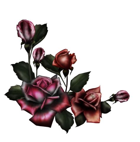 Gothic Rose Png Pic Png Mart