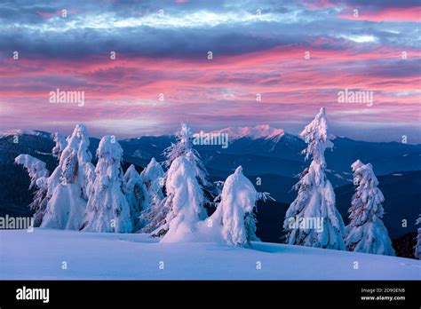 Fantastic Winter Landscape In Snowy Mountains Glowing By Morning