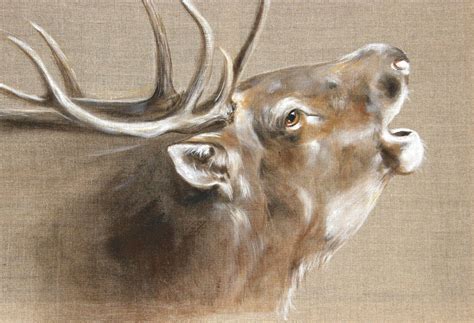 Les Sauvages Peintre Animalier Chasse Sologne Odilelaresche