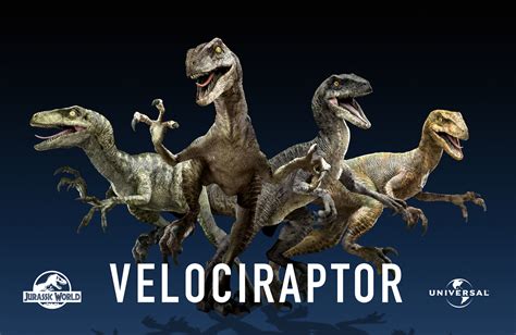 Jw Raptor Squad Jurassic Pedia