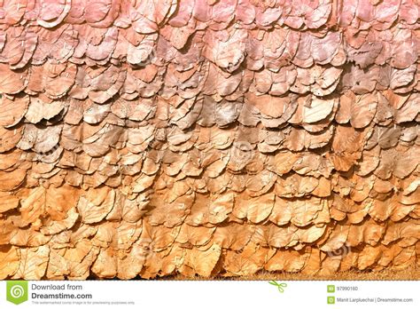 Texture And Background Of Vintage Roof Made With Dry Teak Leaf Stock