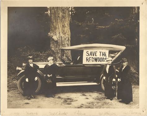 A League Of Their Own The Women Who Started Saving The Redwoods Save