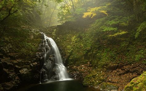 Nature Landscape Trees Waterfall Leaves Rocks Moss Mist Hd Wallpaper