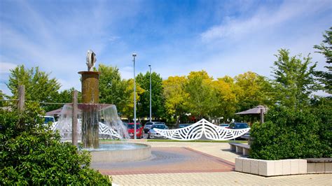 Top 20 Havelock North holiday houses from NZ$ 125/night | Bookabach
