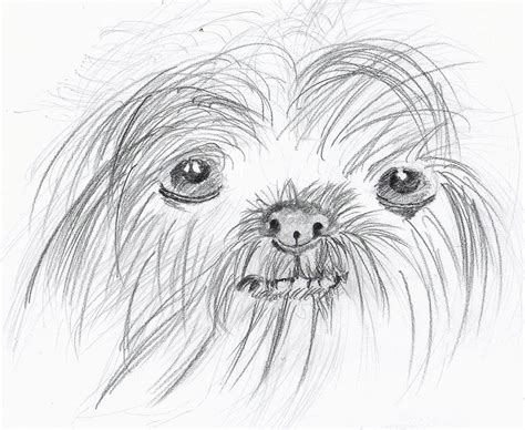 Weekly : Doodles and tuts: Drawspace lesson M08: How to ... Though this tutorial walks you through how to draw a beagle, the same method applies to any and all.