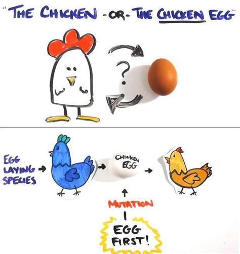 Which Came First The Chicken Or The Egg The Chicken Or The Egg One