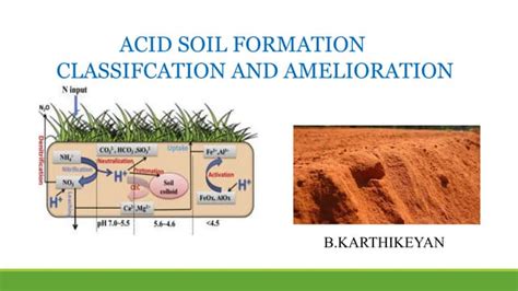 Acid Soil Formation And Classification Of Acid Soil In India Ppt