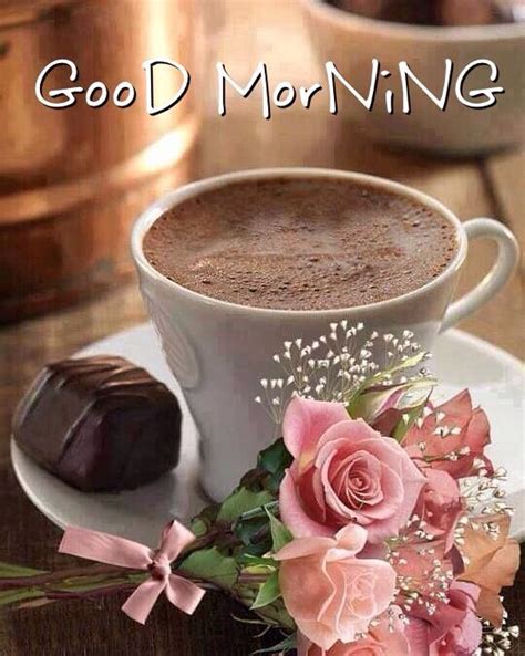 Good Morning Coffee Chocolate And Roses Pictures Photos And Images