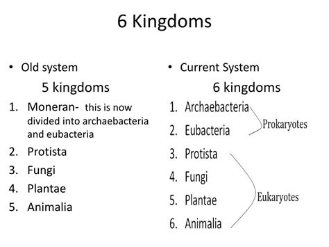 Ppt The 6 Kingdoms Of Life Powerpoint Presentation Free Download