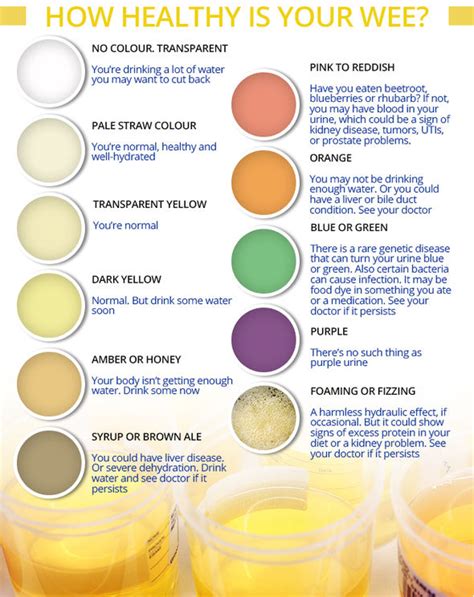 What Does Your Urine Color Mean The Meaning Of Color