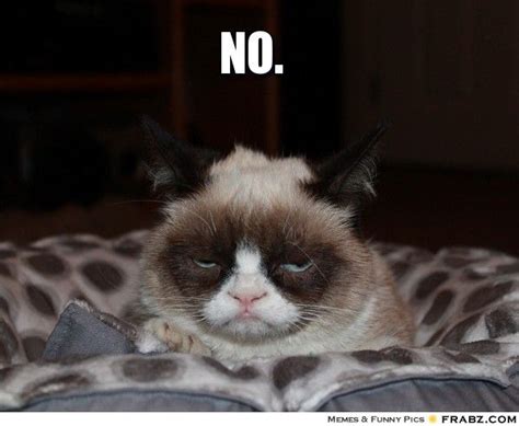No Grumpy Cat Meme Generator Captionator Grumpy Cat Quotes
