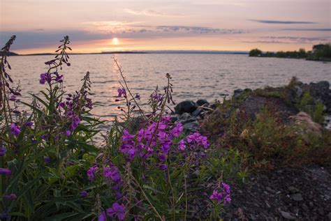 Great Slave Lake Ingraham Trail Spectacular Nwt