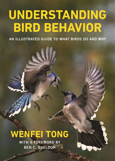 Understanding Bird Behavior Princeton University Press
