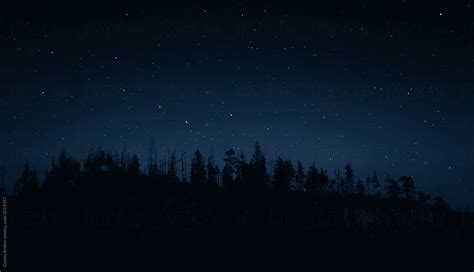 Mountain Forest Under The Night Sky By Stocksy Contributor Cosma