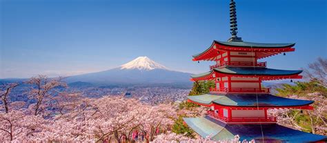 Japan Holidays And Luxury Holidays 202021 Pure Destinations