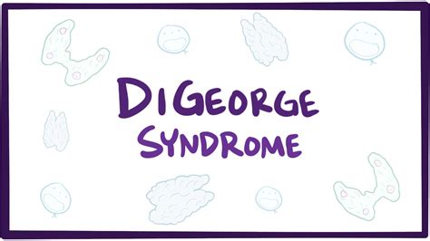 DiGeorge Syndrome Video Anatomy Definition Osmosis 14550 Hot Sex Picture