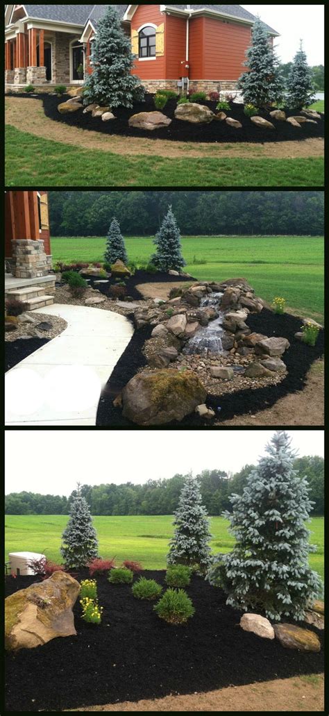 If you are one of those people, this article is just for you. Best 20+ Evergreen trees landscaping ideas on Pinterest ...