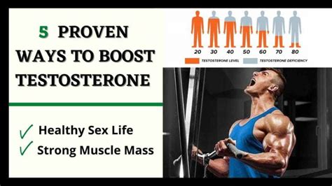 How To Increase Testosterone Naturally 5 Ways To Boost Testosterone