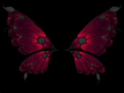 Download beautiful, curated free backgrounds on unsplash. Butterfly Black Background (58+ pictures)