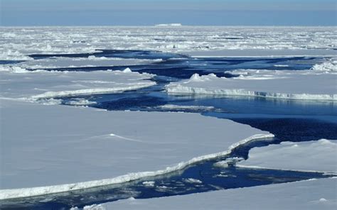 What Is A Polar Ice Cap Wonderopolis