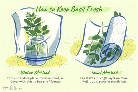 The Best Way To Store Basil And Keep It Fresh