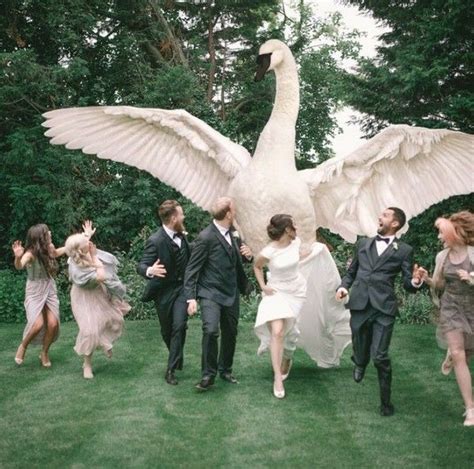 20 Funny Wedding Photography Poses Ideas For Your Bridal Party Funny
