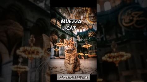 Hazrat Muhammad P B U H Favourite Things Mohammed S A W YouTube