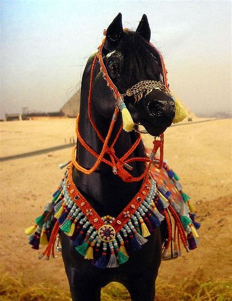 Black Velvet Horses Black Arabian Horse Arabian Horse