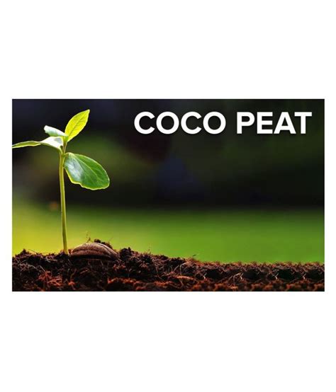 Buy Organic Coco Peat 1 Kg For Home And Garden Online At Best Price In
