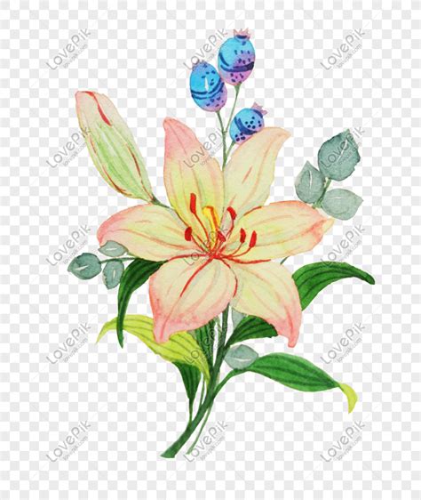 Paling Populer 27 Gambar Ilustrasi Bunga Lili Gambar Bunga Indah