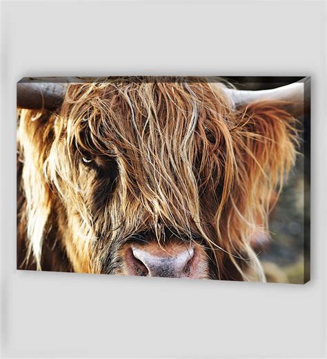 Highland Cow Canvas Art Canvas Wall Art Canvas Art Highland Etsy