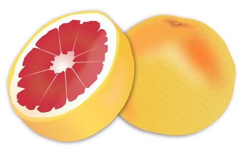 Filegrapefruitsvg Wikimedia Commons