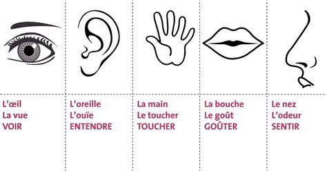 Coloriage 5 Sens Maternelle  Meilleur COLORIAGE Pour Les Enfants