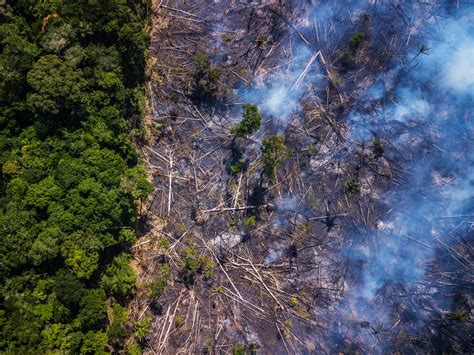 amazon rainforest before and after deforestation map