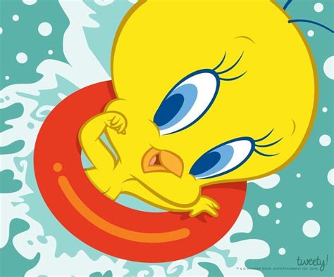 78 Images About Tweety Bird On Pinterest Cartoon Bird Graphic And