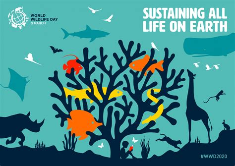 The theme for world environment day 2021 is ecosystem restoration and will see the launch of the un decade on ecosystem restoration. World Wildlife Day 2020: Animal Species Under Threat and ...