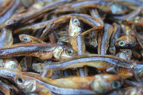 Dried Fish Alchetron The Free Social Encyclopedia